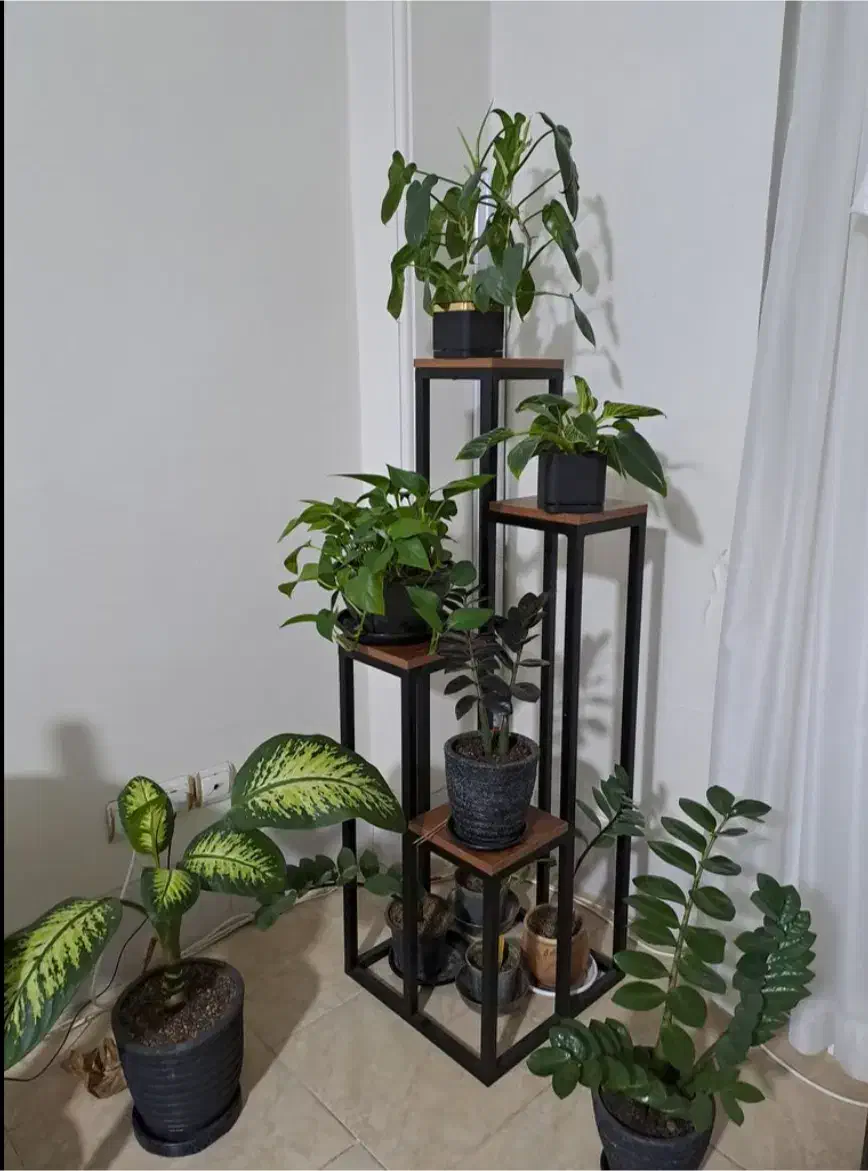 استند گلدان گل فلزی چوبی مینیمال|گل و گیاه طبیعی|اهواز, زیباشهر|دیوار