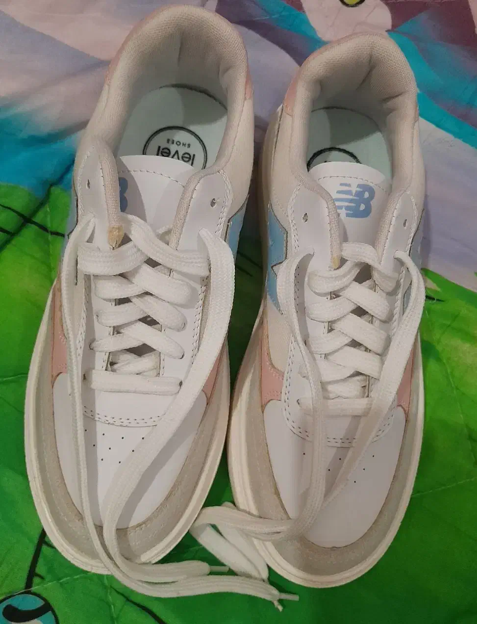 کفش|کیف، کفش، کمربند|بوشهر, |دیوار