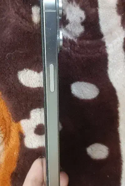 آیفون ۱۵ پرومکس کپی|موبایل|تربت جام, جامی|دیوار