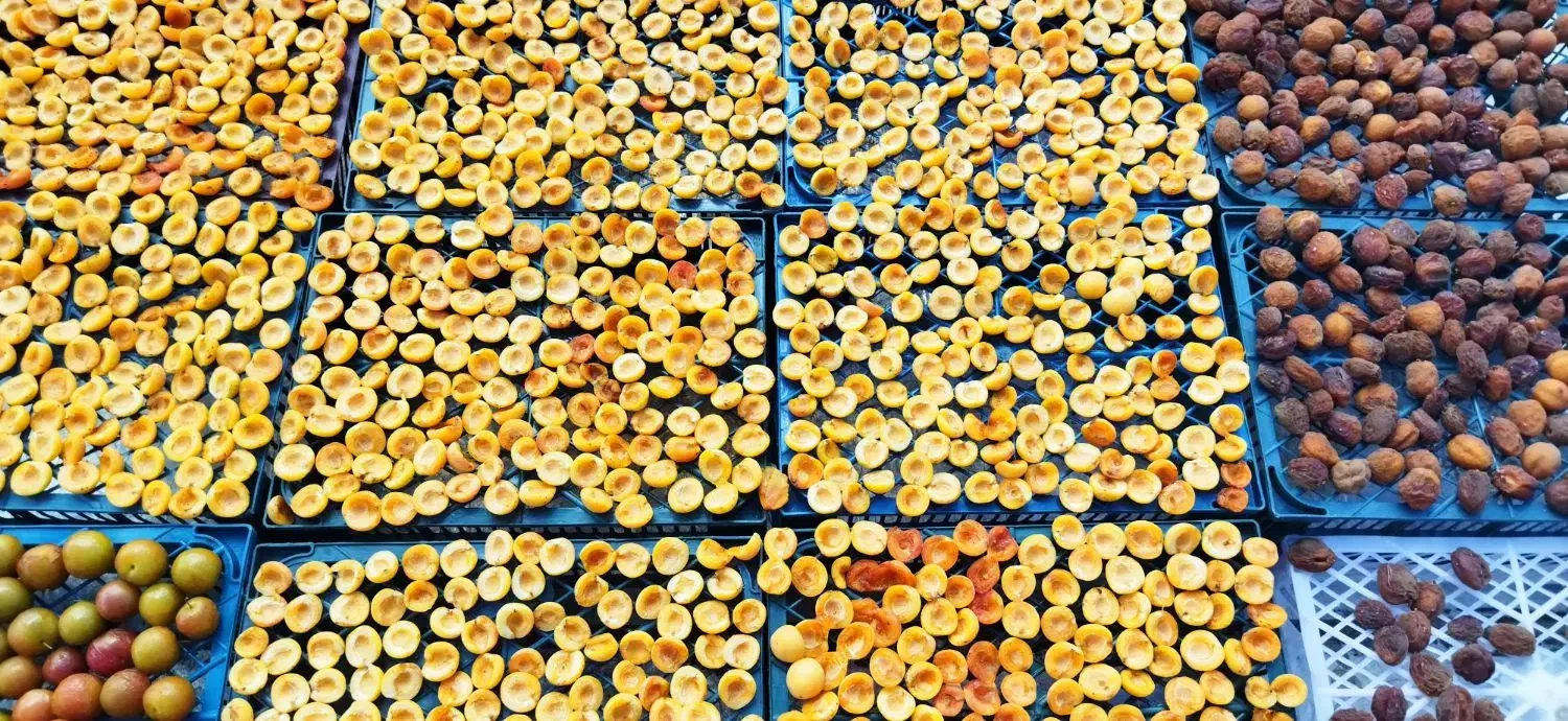 زرد الوی خشک و آلوچه خشک|خوردنی و آشامیدنی|تبریز, |دیوار