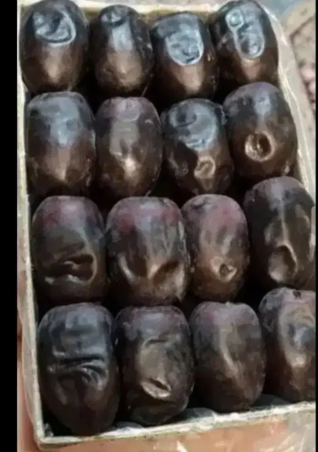 ۵۰۰ کارتن خرما مضافتی|خوردنی و آشامیدنی|بم, |دیوار