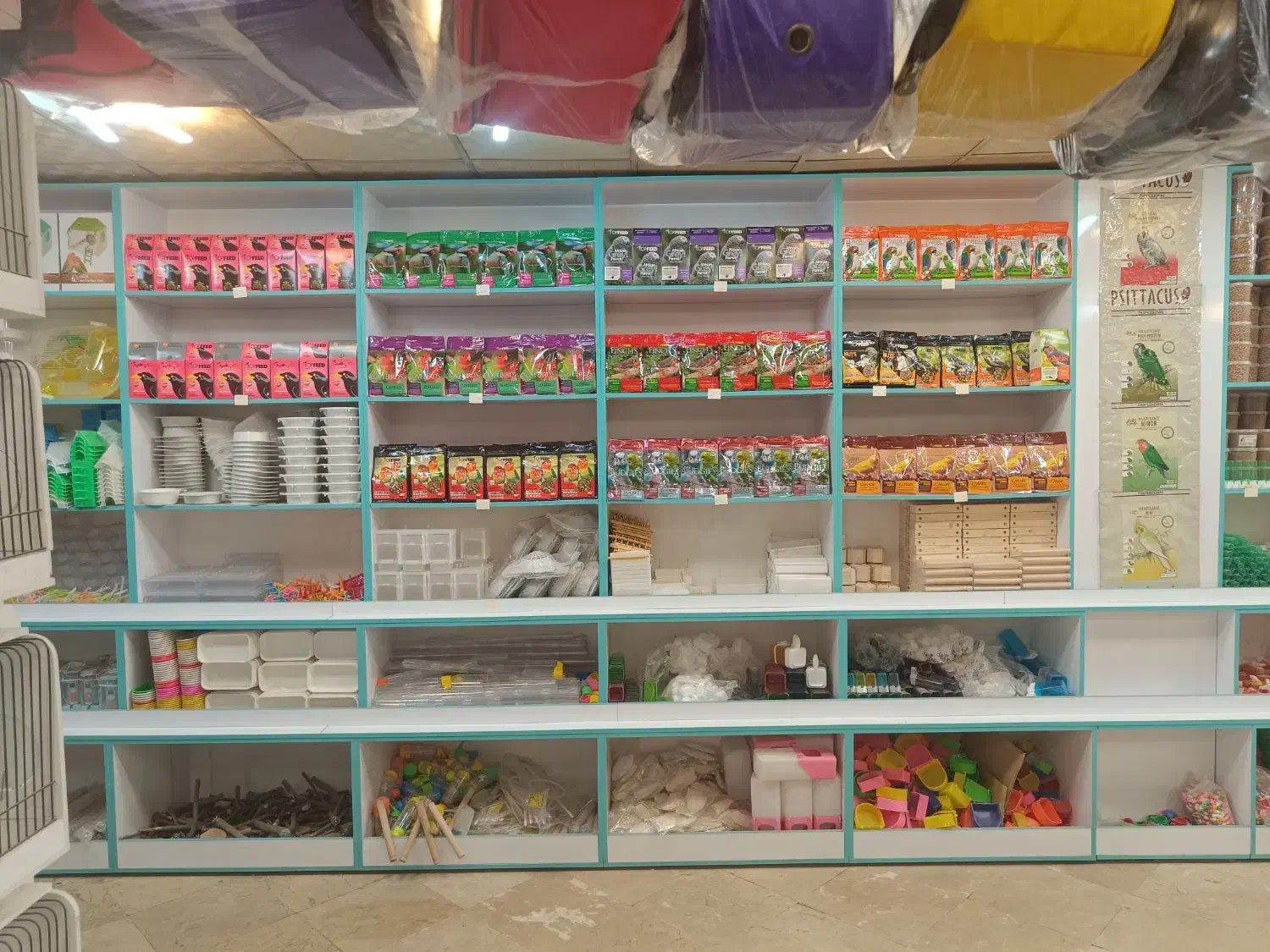 عرضه قناری نر و ماده و لوازم و ملزومات|پرنده|تهران, اسکندری|دیوار