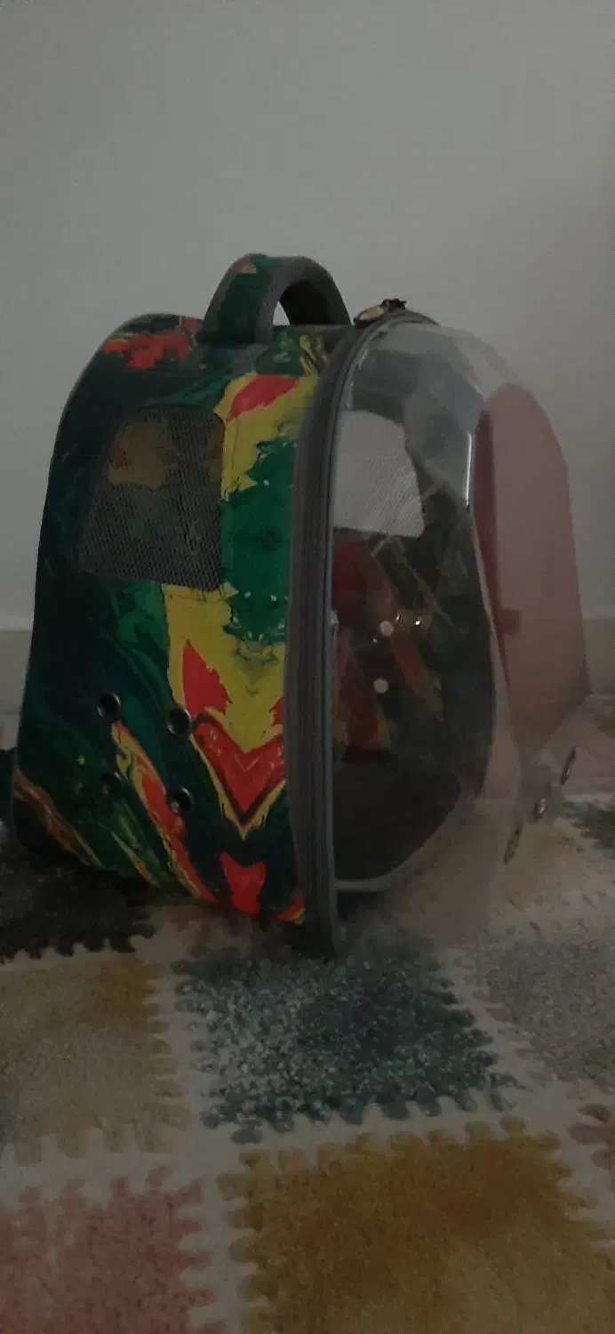 کیف فضایی حمل گربه،سگ،پرنده|لوازم جانبی حیوانات|رشت, رودباری|دیوار