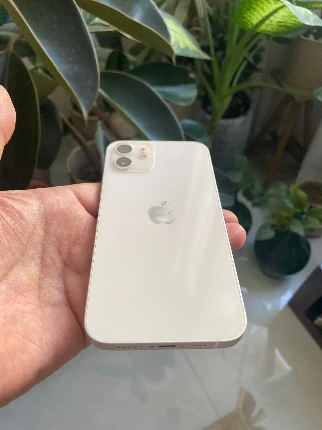 آیفون۱۲|موبایل|تهران, سعادت‌آباد|دیوار