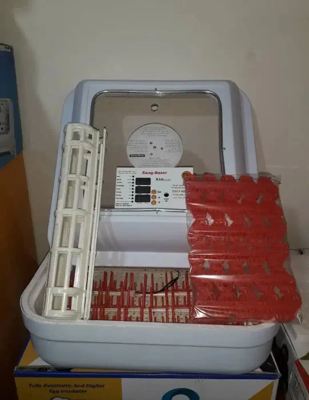 تخم نطفه دار|حیوانات مزرعه|کلاچای, |دیوار