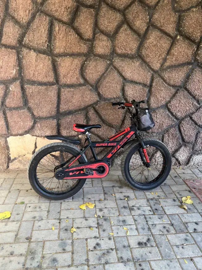 دوچرخه viva|دوچرخه، اسکیت، اسکوتر|ری, دیلمان|دیوار