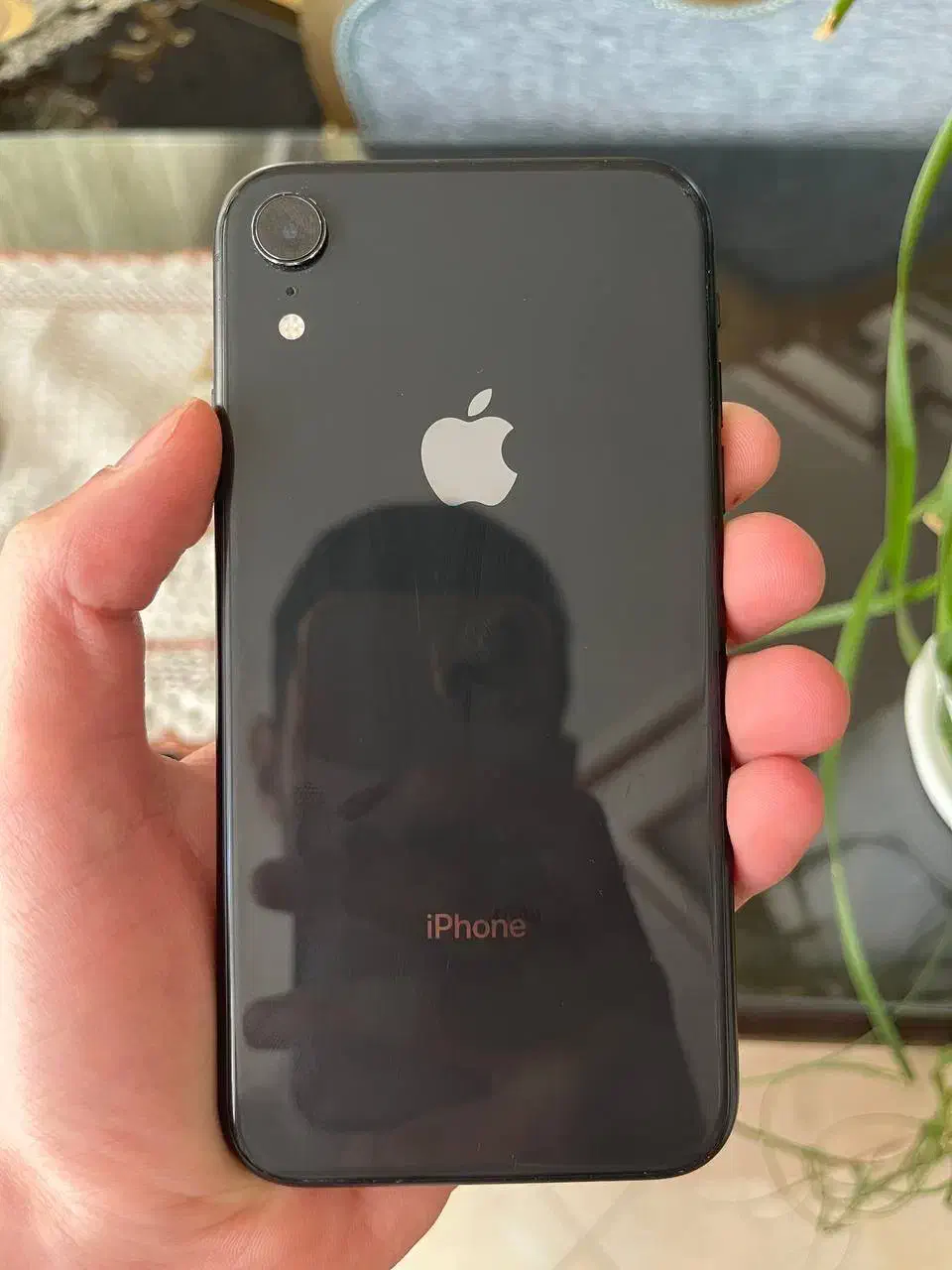 آیفون XR 256G|موبایل|مشهد, ولیعصر (شهرک غرب)|دیوار