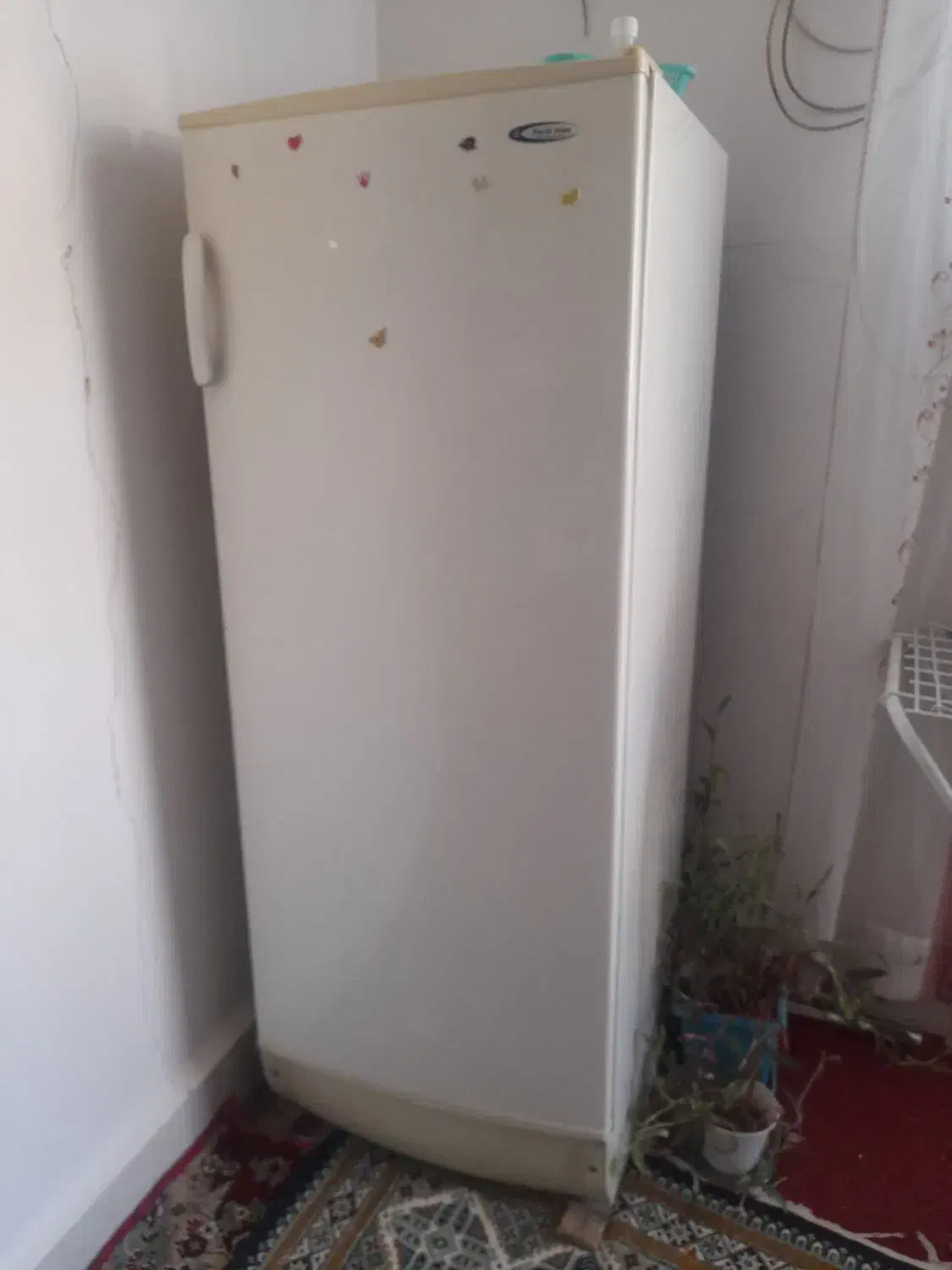 یخچال|یخچال و فریزر|الشتر, |دیوار