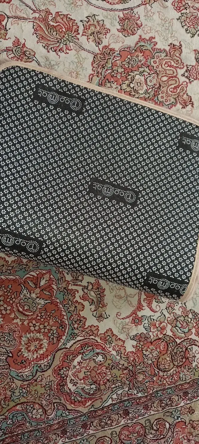 دوعدد پادری خز خارجی|پادری|تهران, مخصوص|دیوار