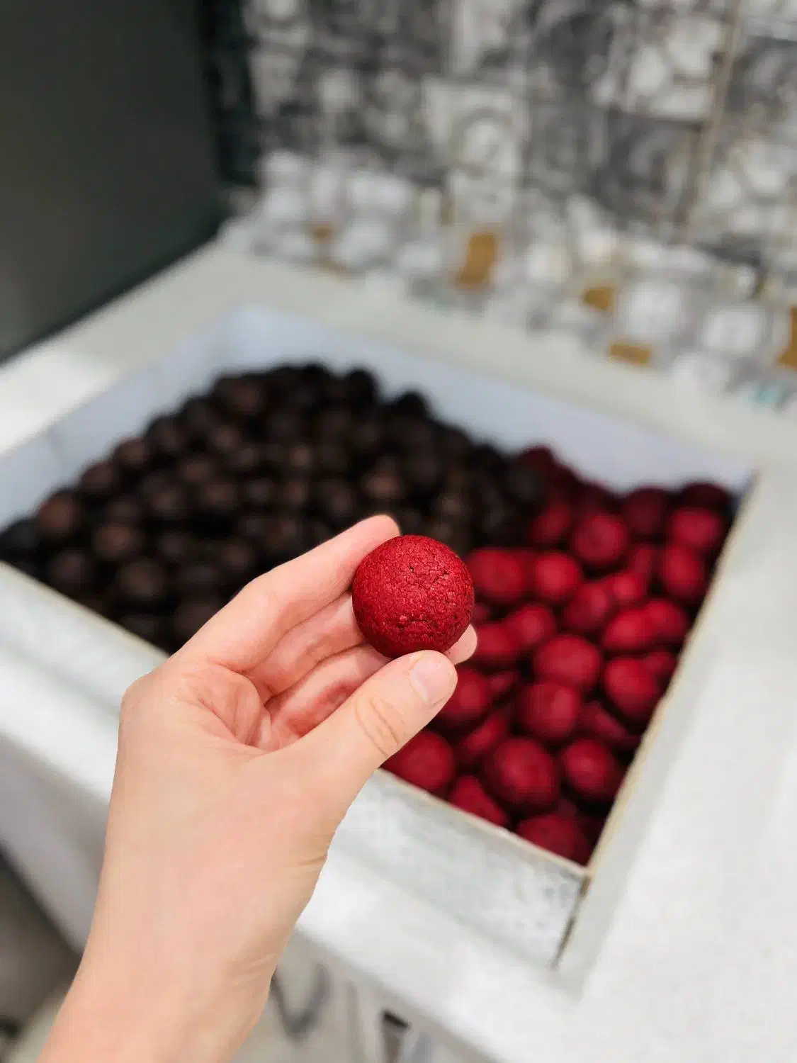 کوکی دبل چاکلت کوکی نیویورکی کیک تولد نون خامه ایی|خدمات پذیرایی، مراسم|تهران, افسریه جنوبی|دیوار