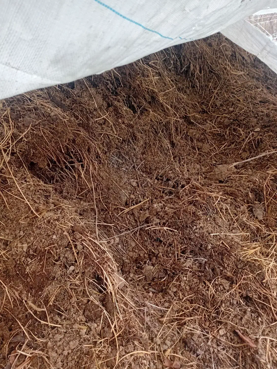 پهین خشک|لوازم جانبی حیوانات|نوشین شهر, |دیوار