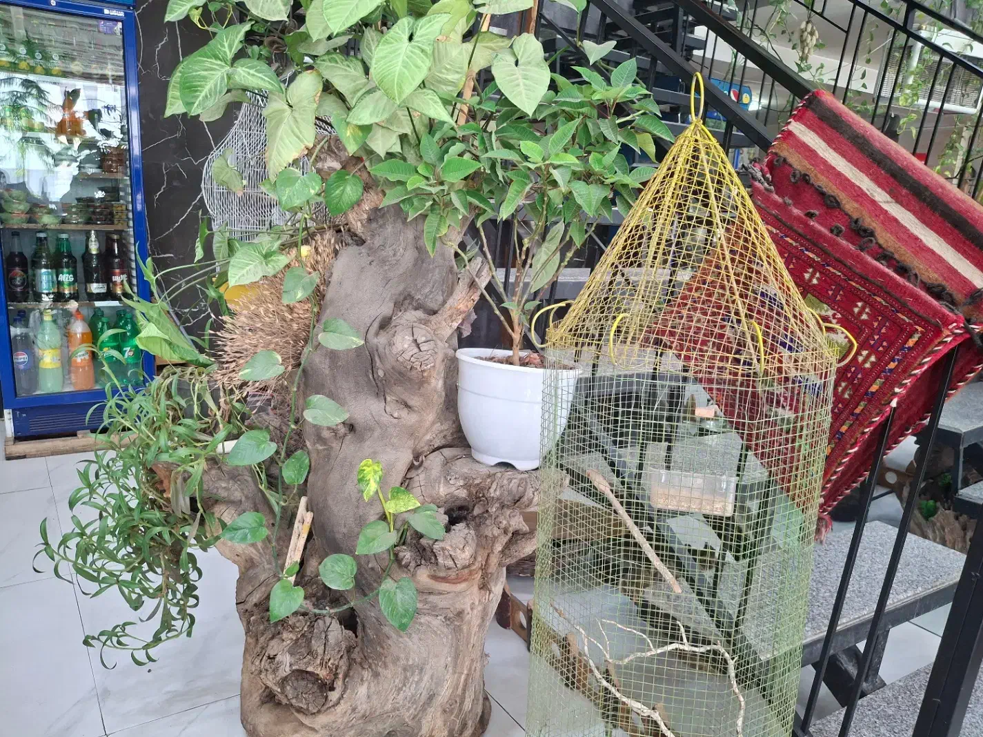 سلام کسانی.. که میخان برن ..اسفراین|خودرو اجاره‌ای|سبزوار, قلعه‌نو دهزار|دیوار