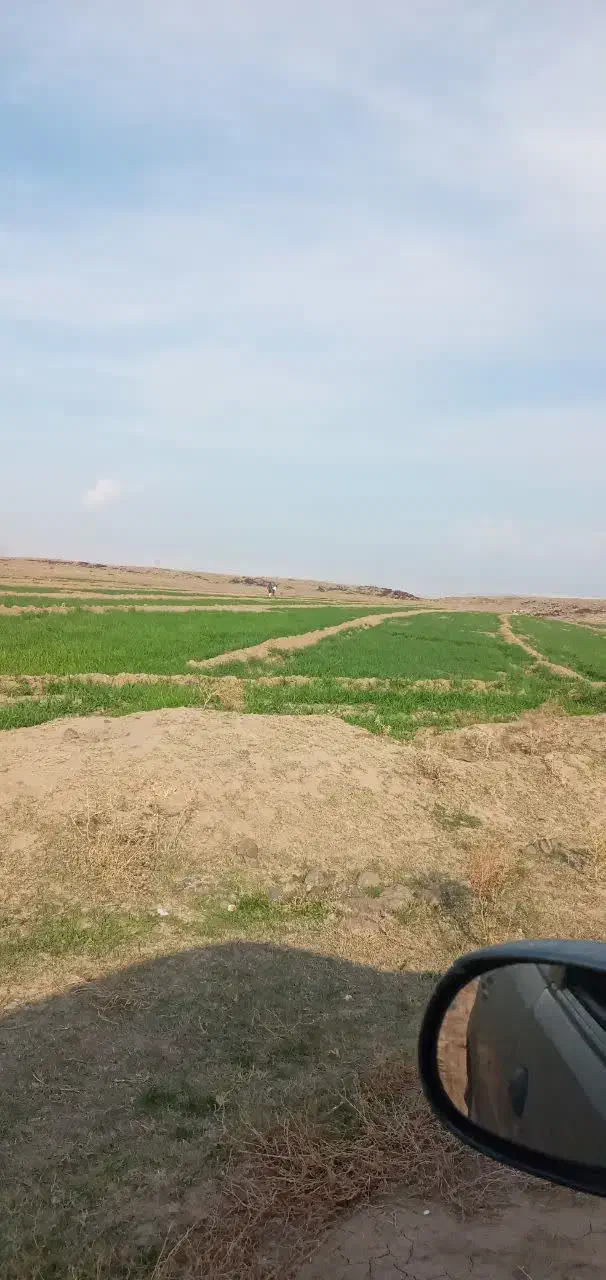 فروش زمین کشاورزی|فروش دفتر صنعتی، کشاورزی، تجاری|پلدشت, |دیوار