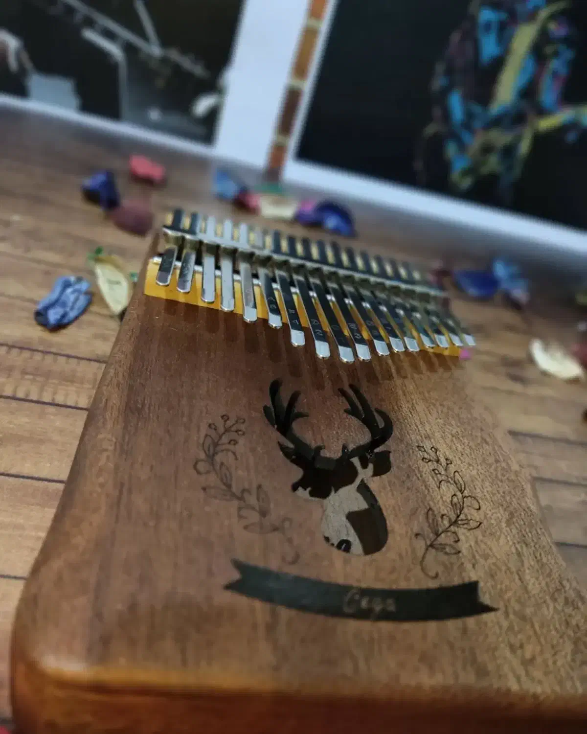 کالیمبا سگا پیکاپخور|سازهای سنتی|رشت, دباغیان|دیوار