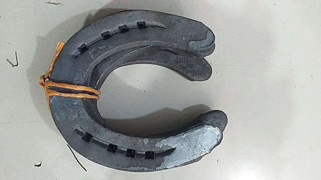 نعل ومیخ|اسب و تجهیزات اسب‌سواری|تولم شهر, |دیوار