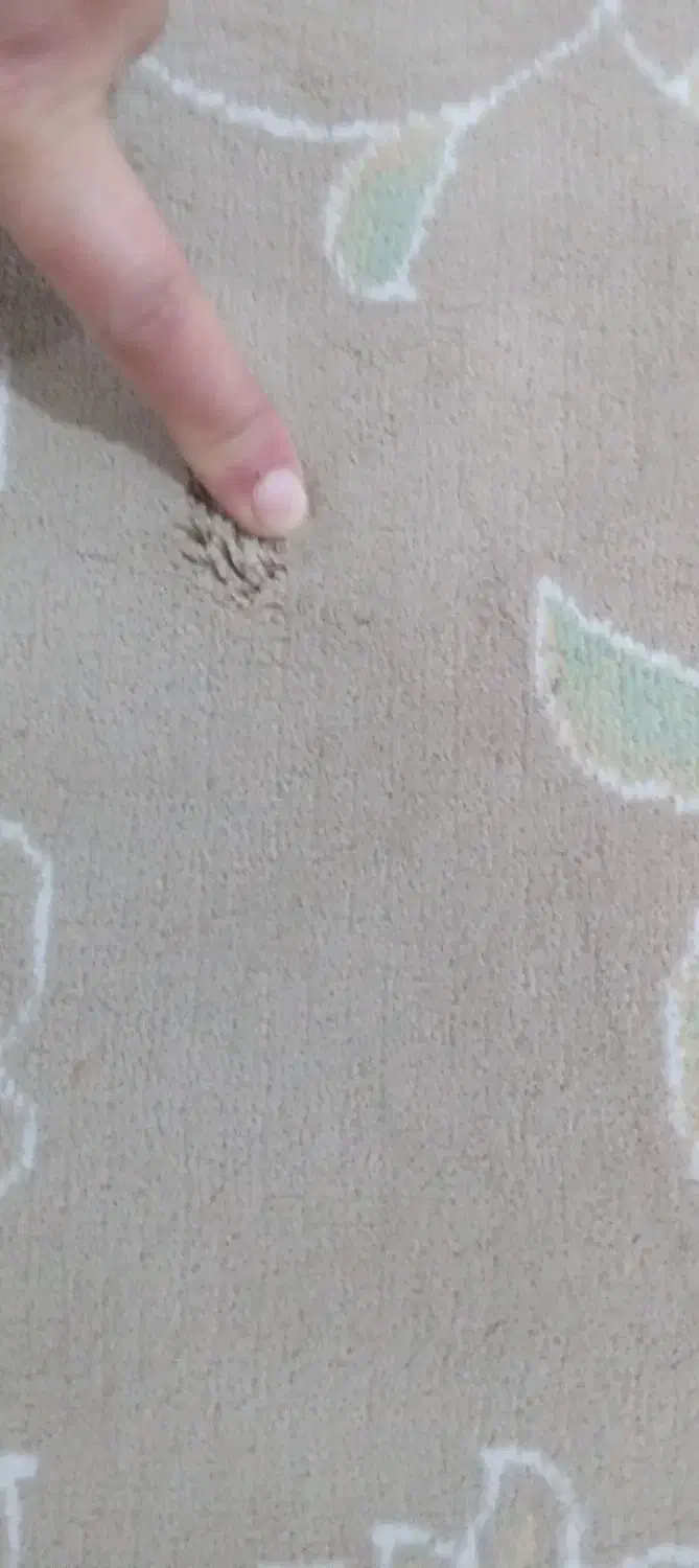 قالی|فرش|خرم‌آباد, |دیوار