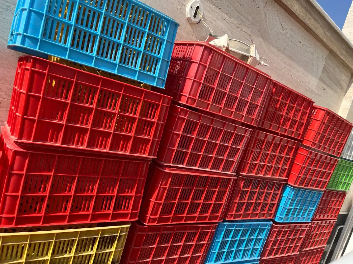 سبد مرغی|فروشگاه و مغازه|شیراز, کوشک میدان|دیوار