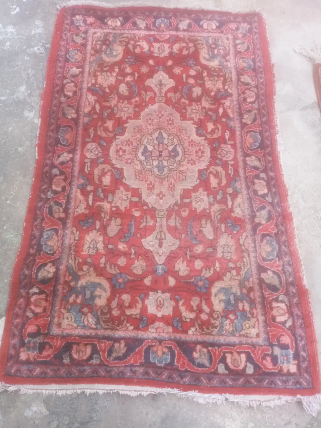 قالی دسباف|گلیم، جاجیم، گبه|بندر انزلی, عباس آباد|دیوار