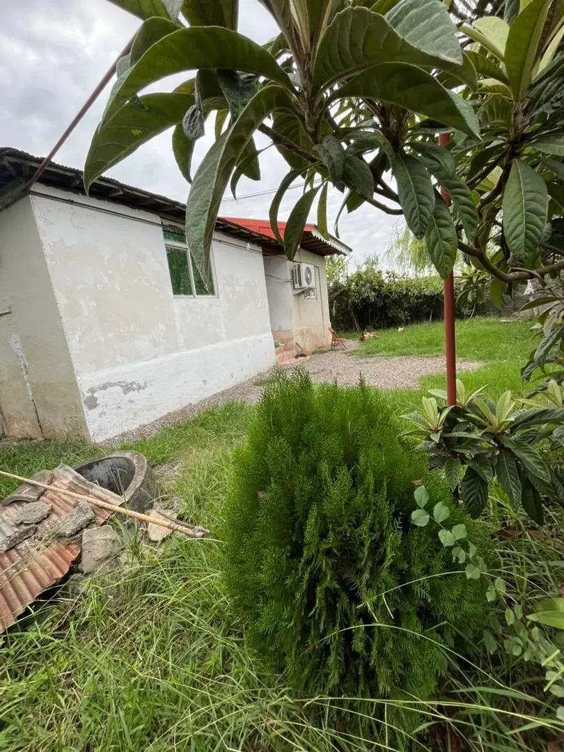 خونه شالیزار6700متری محدوده رشت شرایطی(آناملک)|فروش خانه و ویلا|رشت, حومه رشت|دیوار