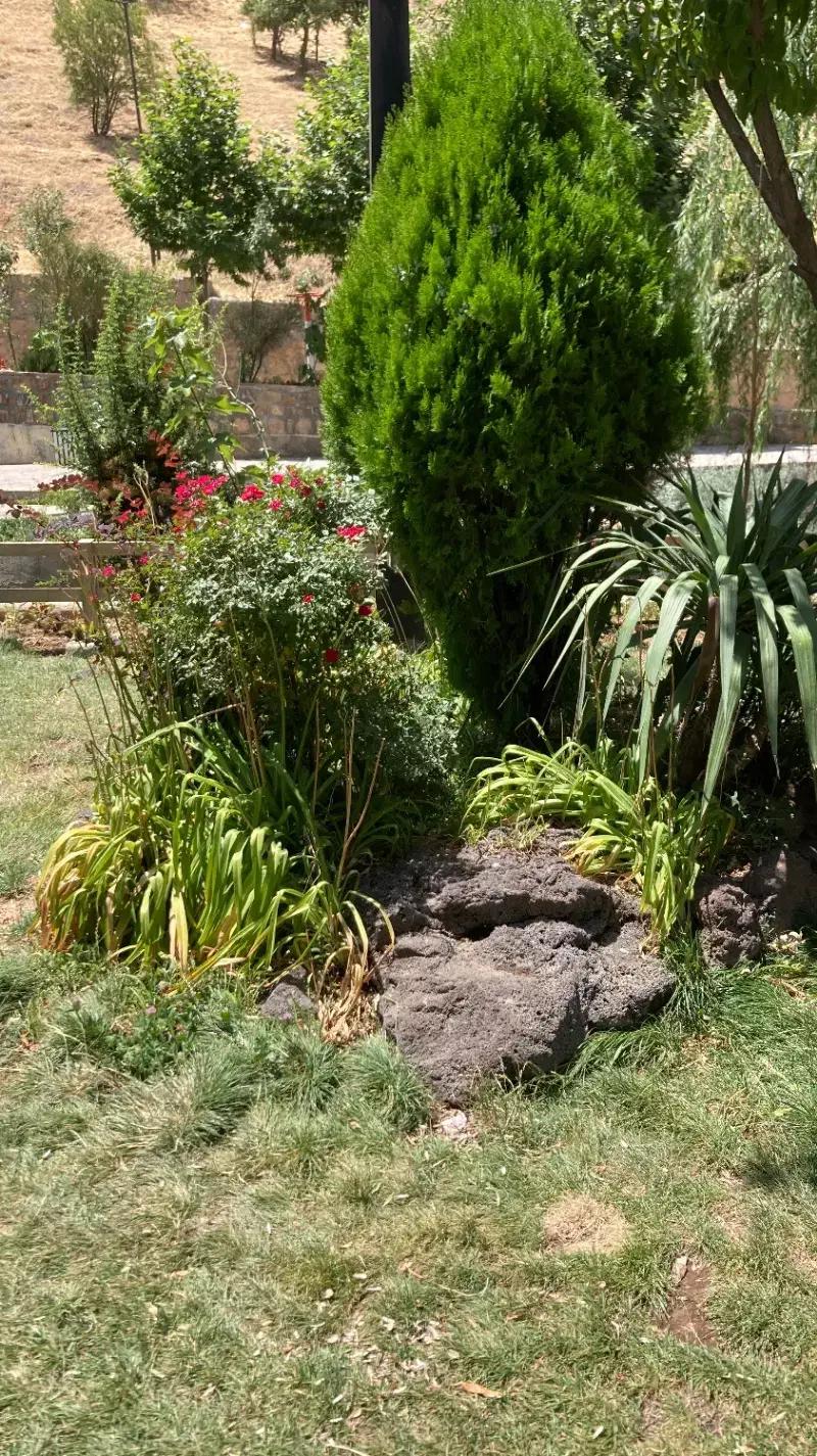 نیروی کار جهت نگهداری و نظافت پارک|استخدام سرایداری و نظافت|سنندج, |دیوار