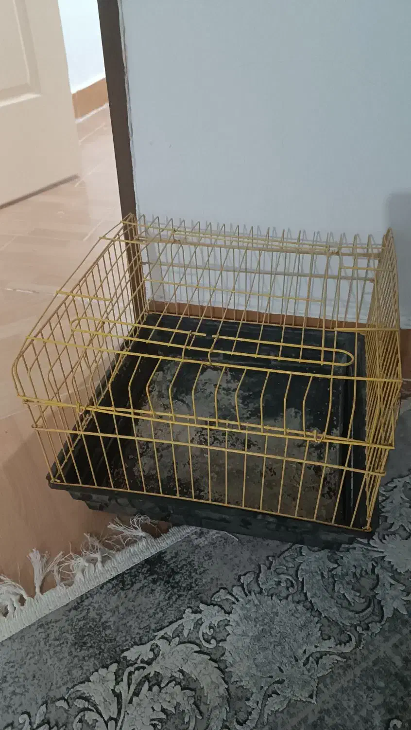 قفس خرگوش|لوازم جانبی حیوانات|شاهرود, |دیوار