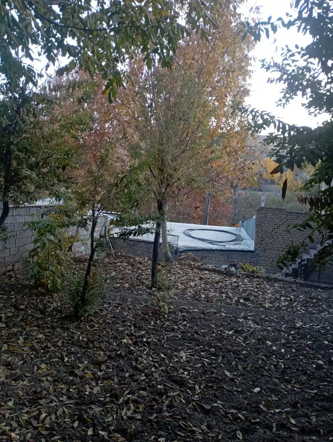 اجاره خانه ویلایی|اجارهٔ خانه و ویلا|قاهان, |دیوار