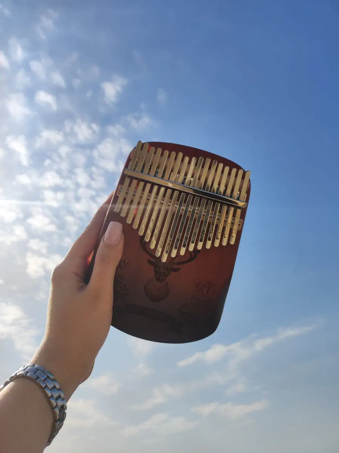 کالیمبا|پیانو، کیبورد، آکاردئون|ری, شهید بهشتی|دیوار