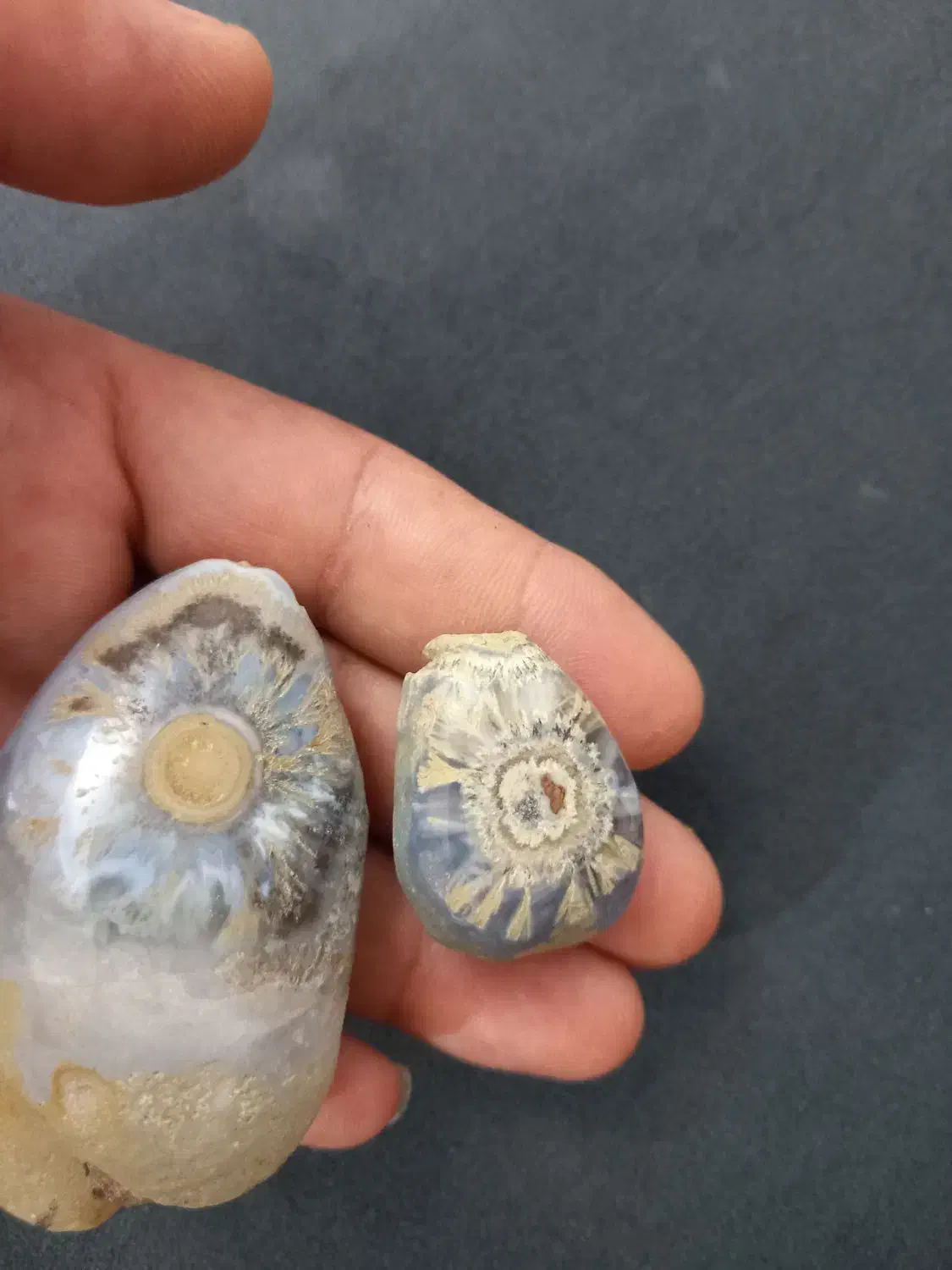 سنگ عتیقه|کلکسیون اشیاء عتیقه|صفادشت, |دیوار