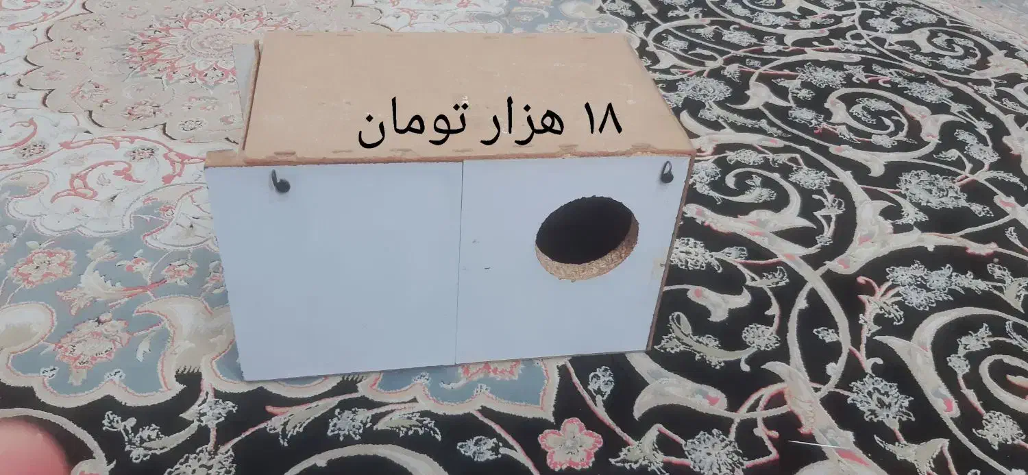 لوازم پرنده|لوازم جانبی حیوانات|مشهد, اروند|دیوار