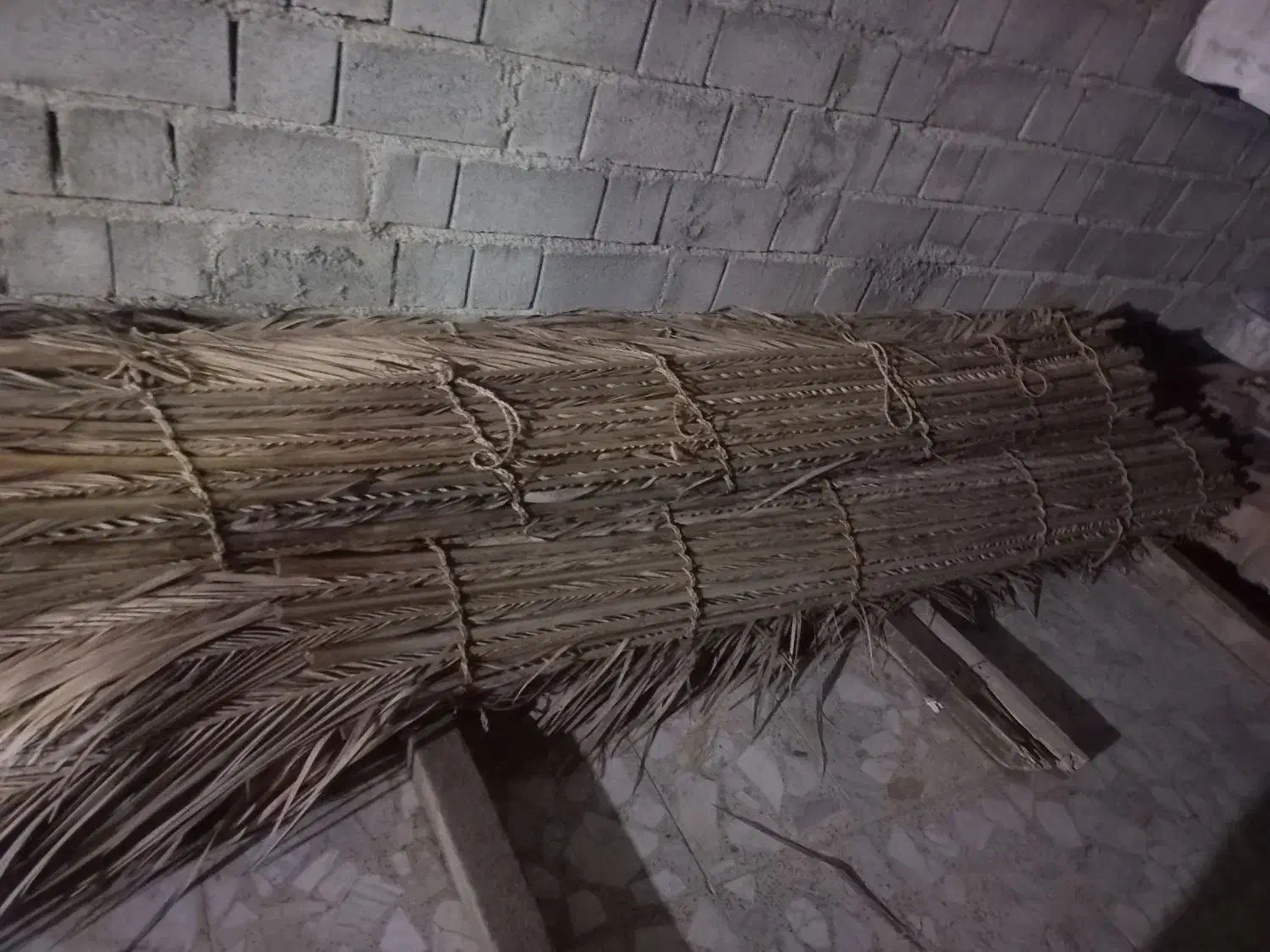 سوند  ۶ میدان و پاتک|خدمات باغبانی و درختکاری|میناب, |دیوار