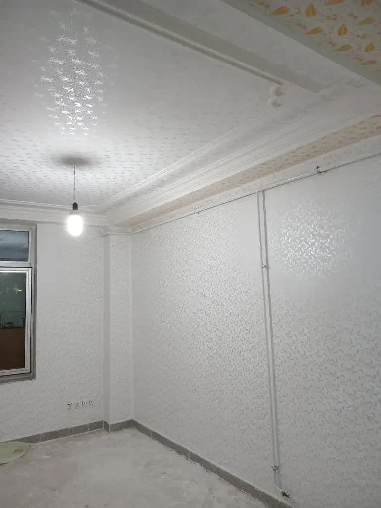 نقاشی ساختمان طرح کاغذ دیواری|خدمات پیشه و مهارت|نوشین شهر, |دیوار