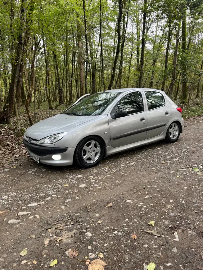 پژو ۲۰۶ تیپ ۲|خودرو سواری و وانت|تالش, طولارود|دیوار