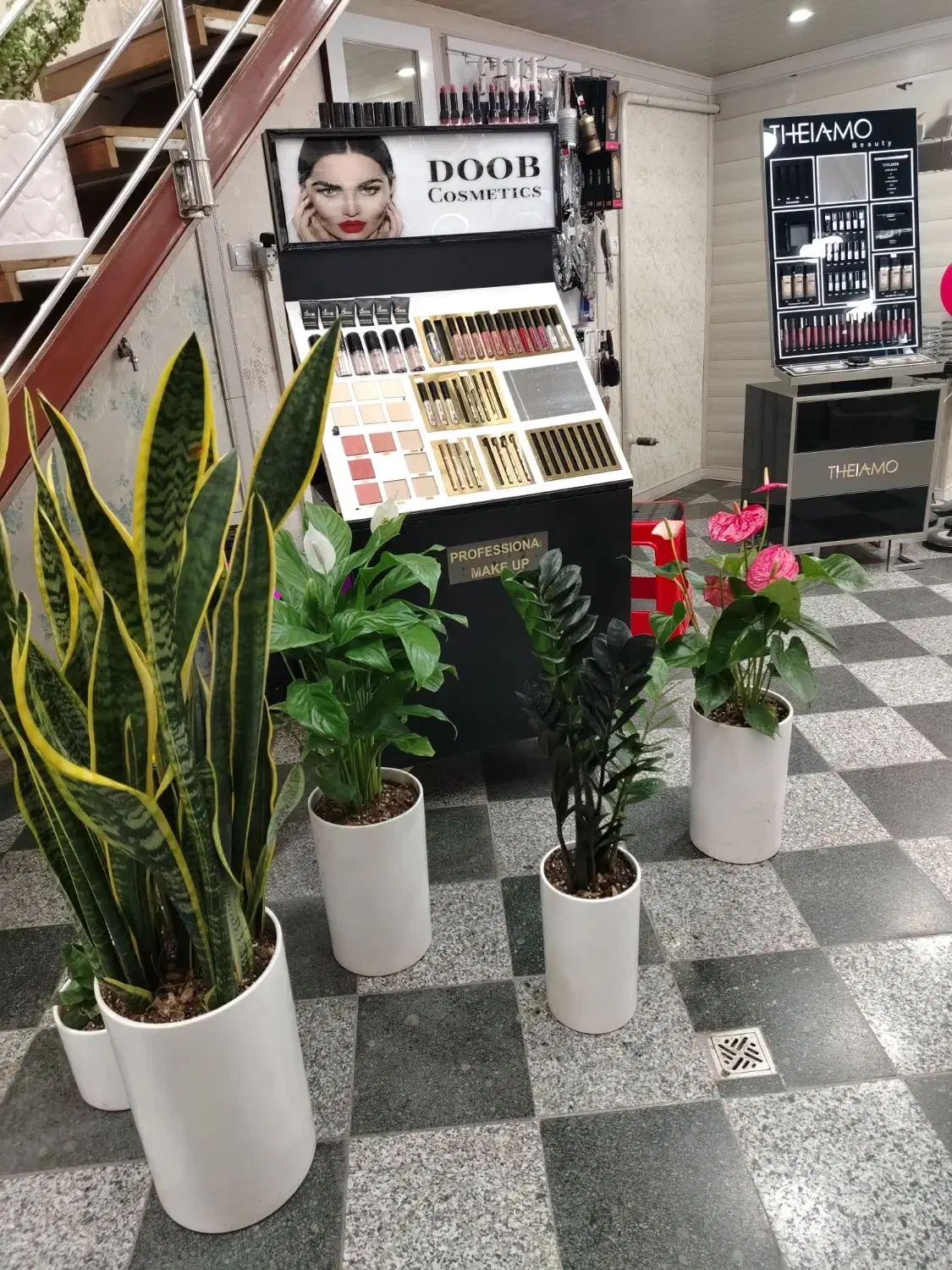 گلکده پاچیرا|گل و گیاه طبیعی|یزد, |دیوار