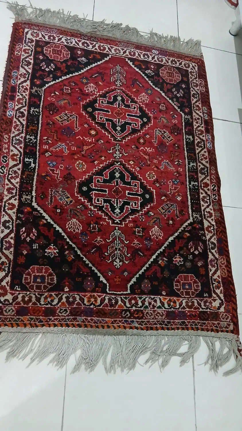 قالیچه محلی بافت پاسارگاد|فرش|شیراز, زرهی|دیوار