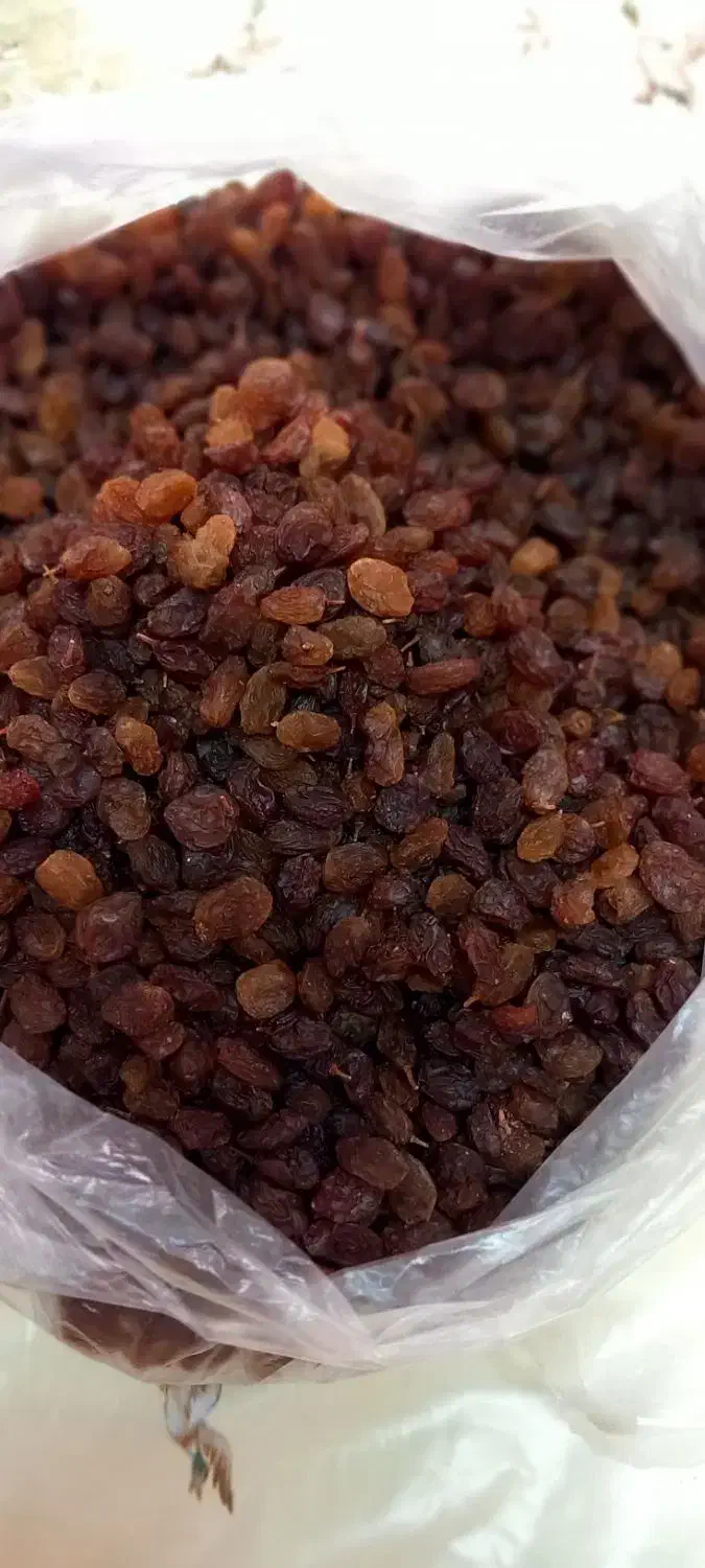 کشمش پلویی|خوردنی و آشامیدنی|فردیس, ثابتی|دیوار