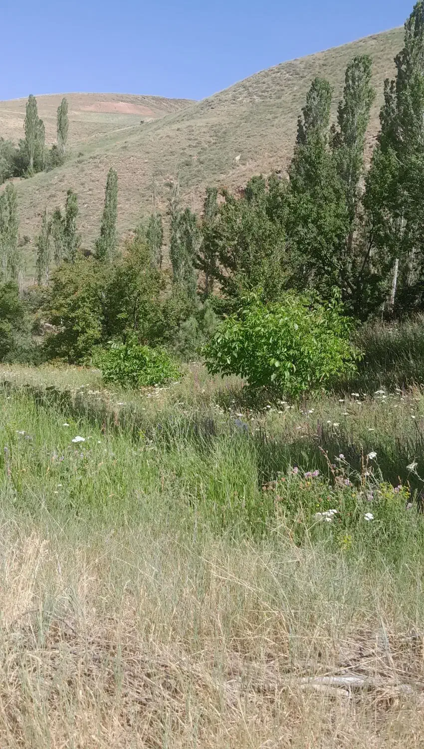 باغ و زمین|فروش زمین و ملک کلنگی|زنجانرود, |دیوار