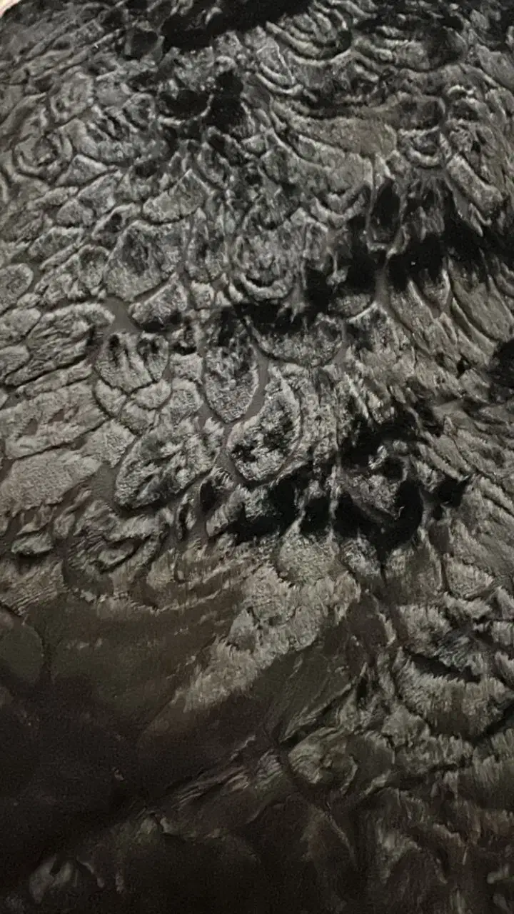 چادر رنگی|لباس|کوار, |دیوار