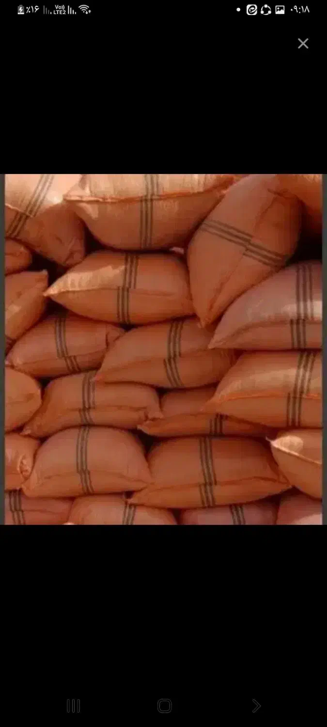 کاه فروش|لوازم جانبی حیوانات|باغستان, |دیوار