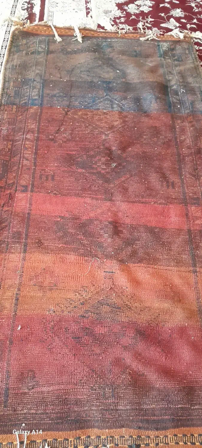 قالی ۸۰ ساله عتیقه|فرش|اهواز, زندوکیلی|دیوار