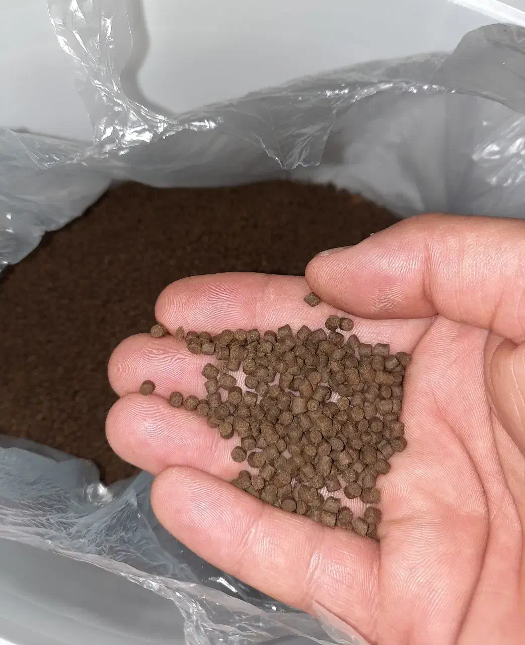 غذا ماهی آکواریوم|ماهی|تهران, قیطریه|دیوار