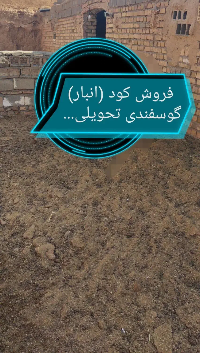 کود (انبار) گوسفندی|خدمات باغبانی و درختکاری|تربت جام, جامرود|دیوار