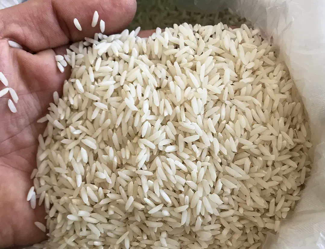 برنج|خوردنی و آشامیدنی|شباب, |دیوار