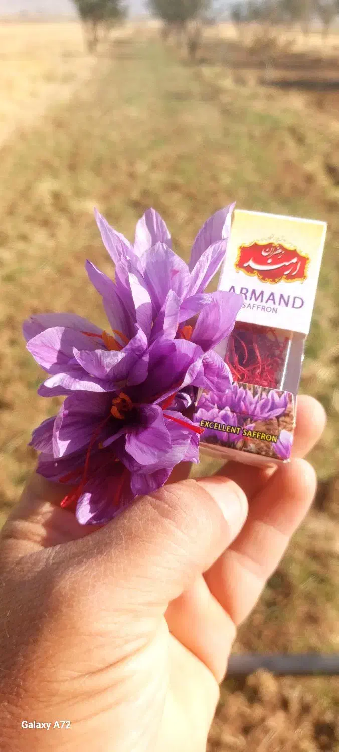 زعفران ارمند ،عطر و رنگ واقعی|خوردنی و آشامیدنی|ارمند, |دیوار