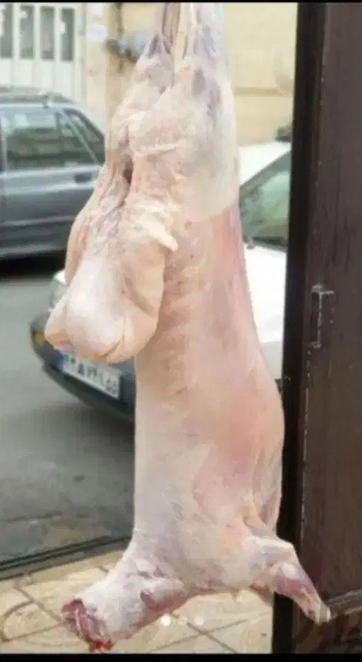 قصاب سیار درمحل|خدمات پذیرایی، مراسم|مشهد, طبرسی شمالی|دیوار