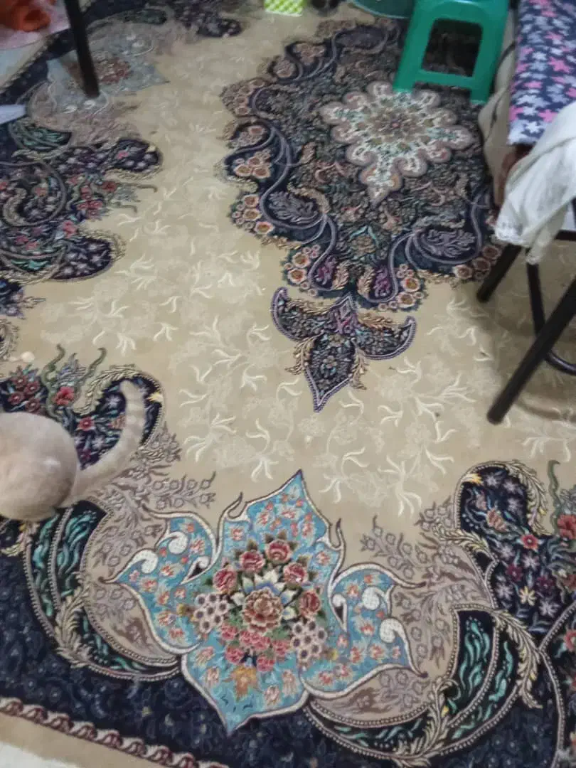 فرش|فرش|رشت, سلیمانداراب|دیوار