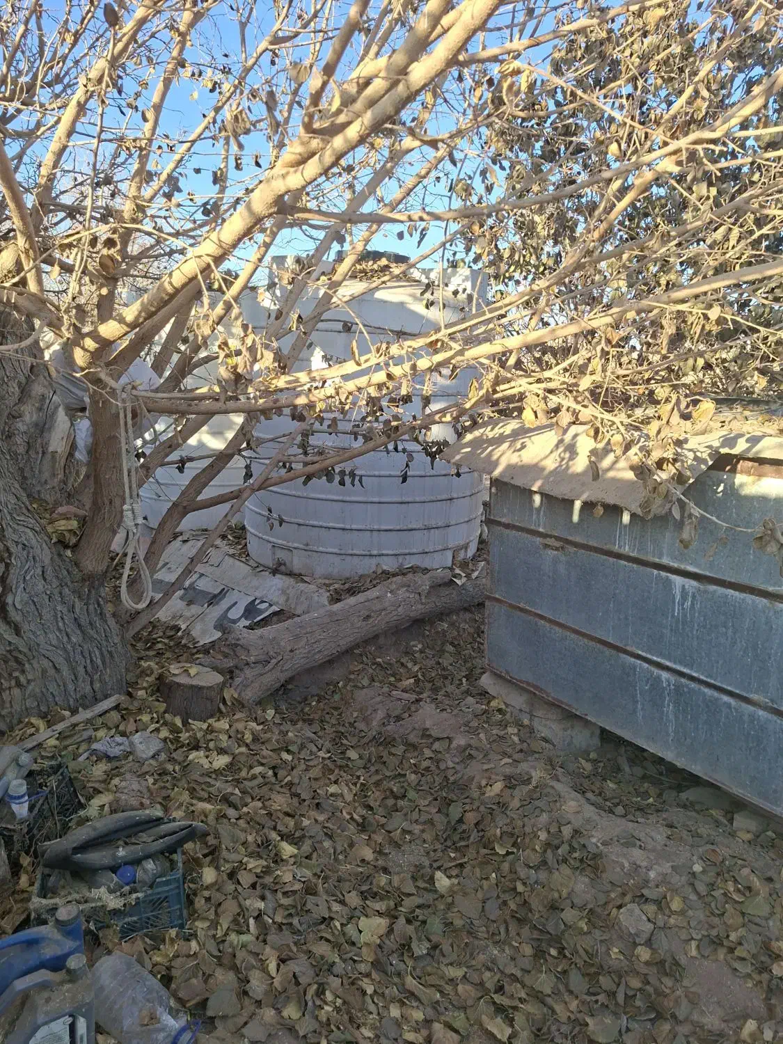 کاه|لوازم جانبی حیوانات|کرمان, |دیوار