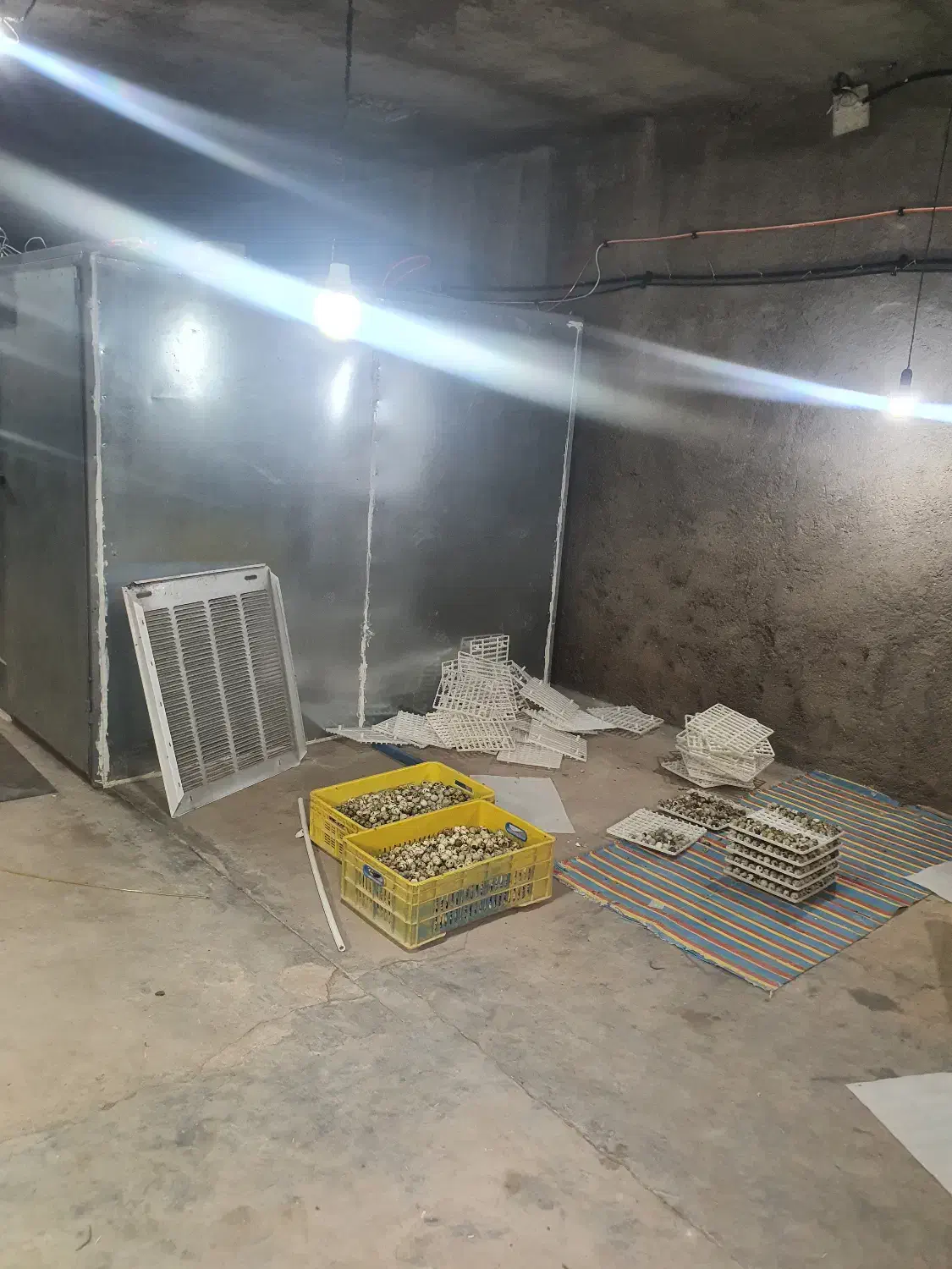 نیرو برای سالن پرورش کبک|استخدام صنعتی، فنی، مهندسی|یزد, |دیوار