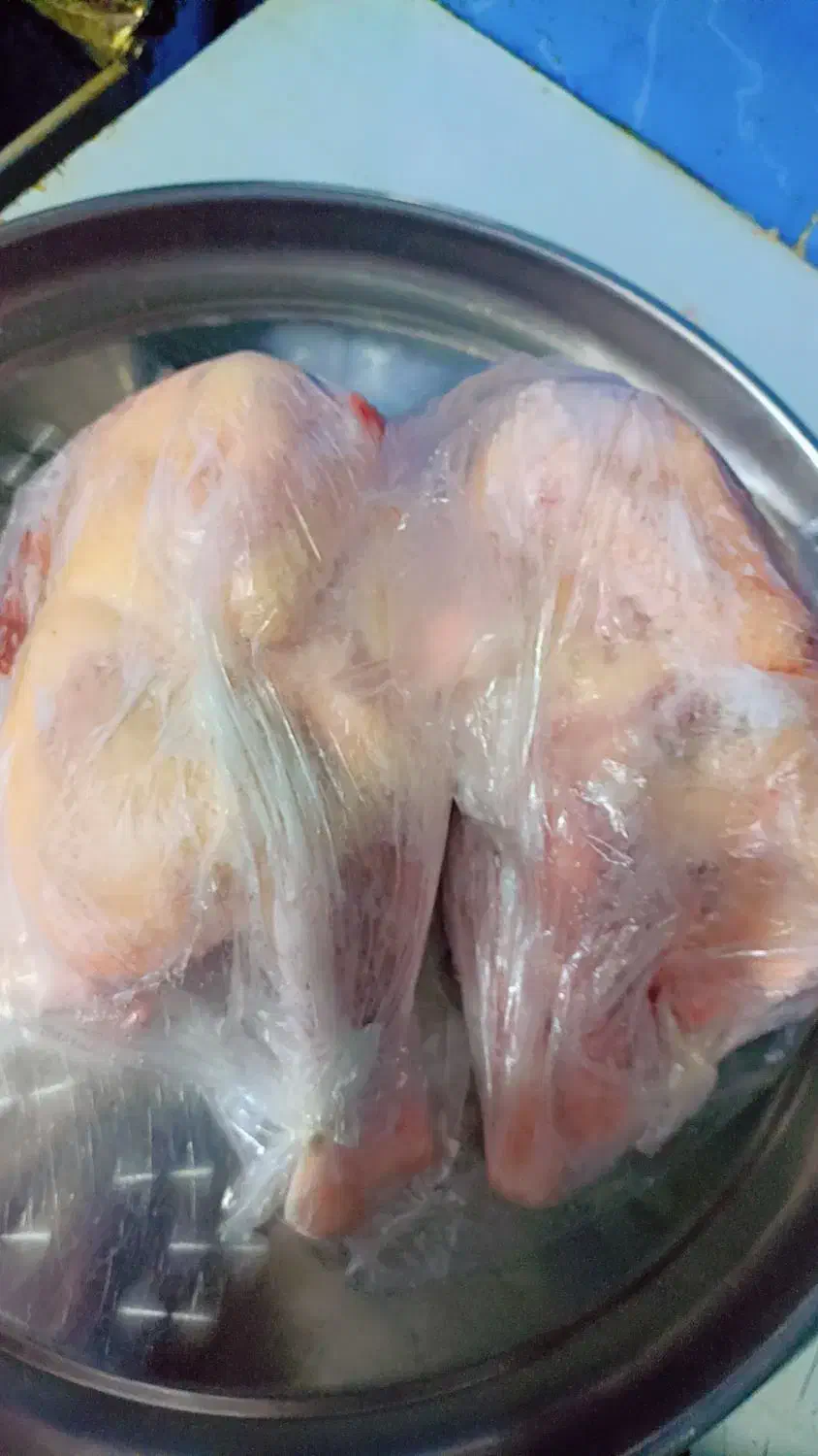 مرغ محلی پرکنده دونه270رب انارشیره220عدس130|خوردنی و آشامیدنی|دوگنبدان, |دیوار