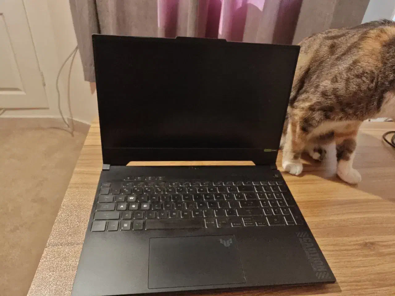 لپ تاپ Asus Tuf A15 Fa507nur|رایانه همراه|تهران, یوسف‌آباد|دیوار