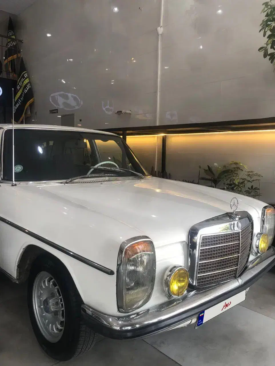 مرسدس بنز معماری درجه ۱|خودرو کلاسیک|شیراز, تاچارا|دیوار